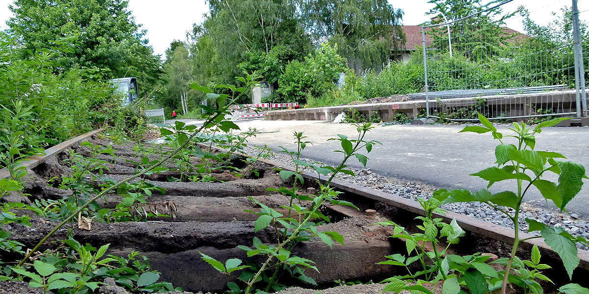 (Foto: Marek Schirmer)
