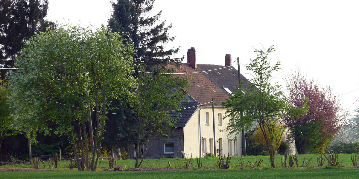 Verschwinden bald Stockumer Felder von der Landschaft? Die Stadt Witten möchte das Vöckenberg bebauen. Geplant ist ein gemischtes Gewerbe- und Industriegebiet. (Foto: Marek Schirmer)