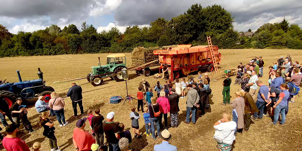 Die HLANZ Freunde Ruhrgebiet und Heimatfreunde Stockum Düren organisierten gemeinsam Schaudreschen und -pflügen am Vöckenberg. (Foto: M. Schirmer)