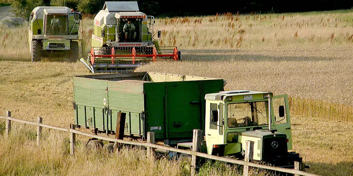 Ernte am Hof Große-Oetringhaus. (Foto: Marek Schirmer)
