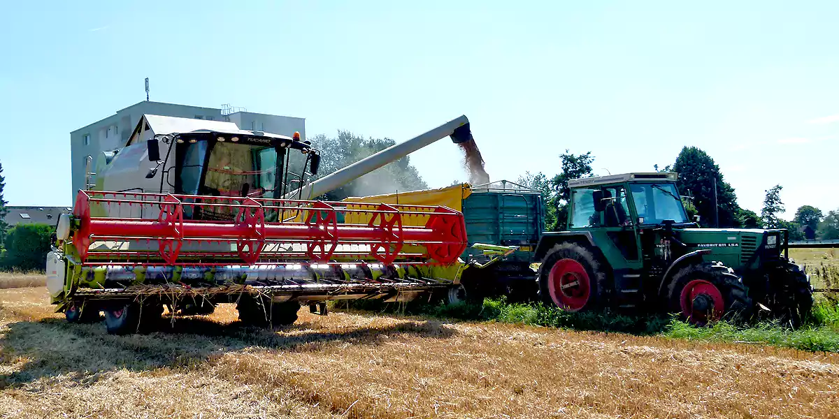 Heimatnachmittag auf dem Bauernhof: Stockumer Landwirtschaft im Wandel