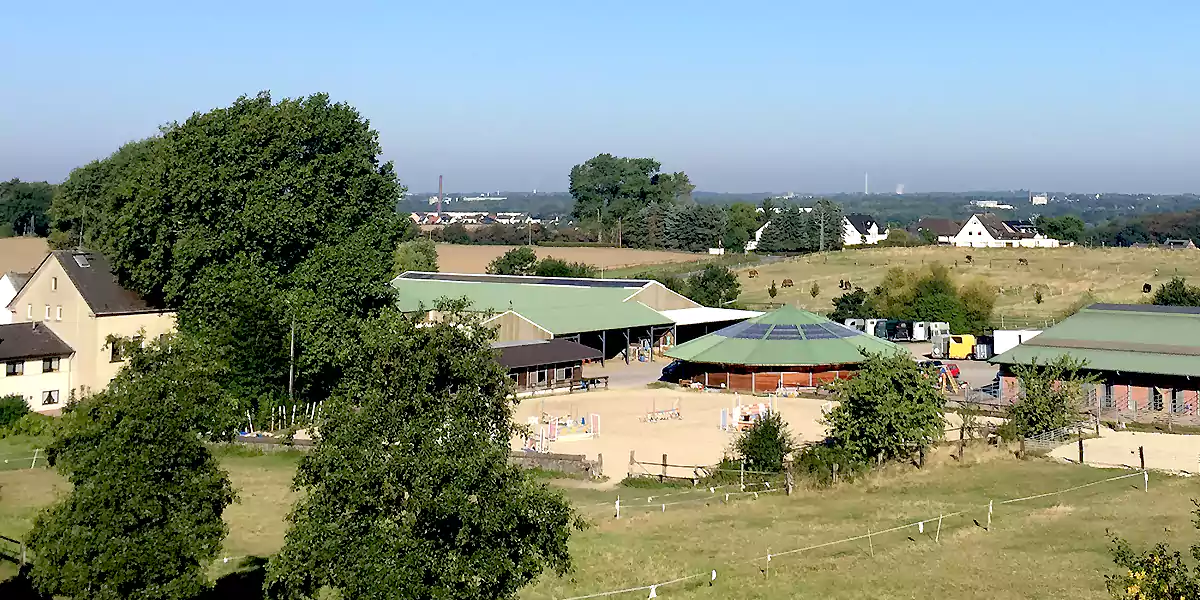 Hof Große-Oetringhaus im November 2016. (Foto: Marek Schirmer)