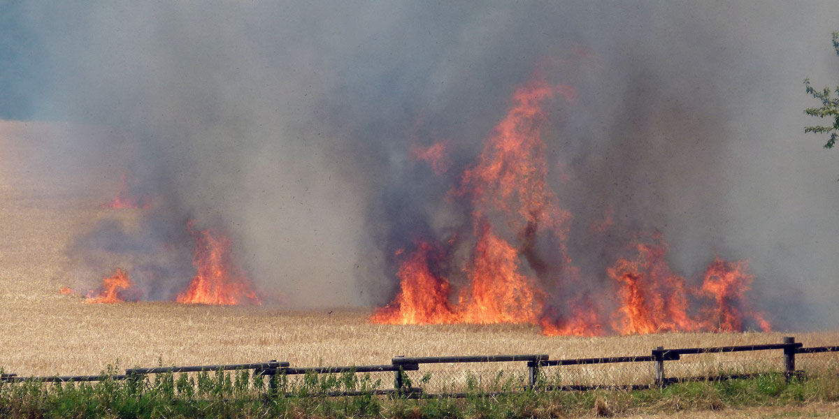Flächenbrand: Feuerwehr löschte Feld Am Katteloh