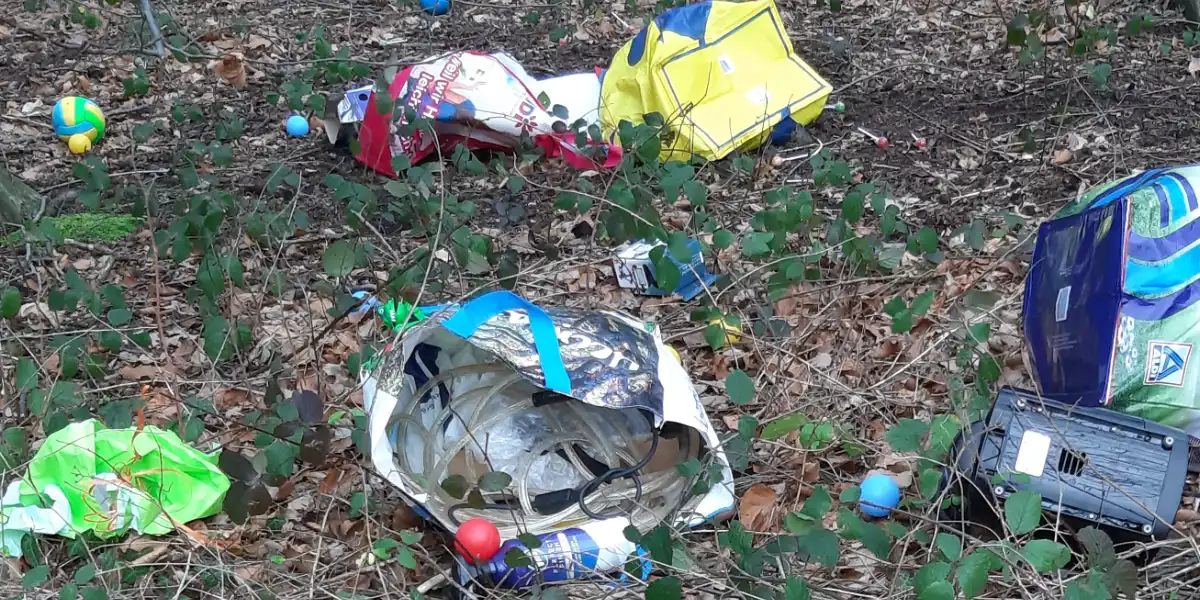 Müllkippe im Dorneywald (Foto: Cristian Lukas)