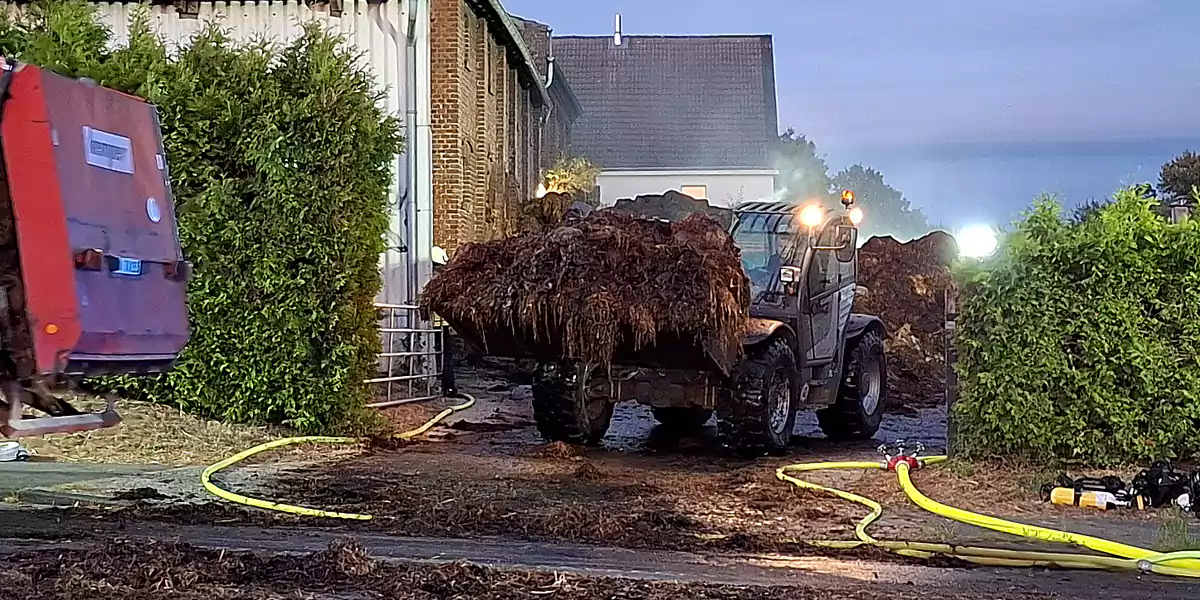 Der Mist wird abtransportiert und zur Beobachtung auf ein Feld gebracht. (Foto: Feuerwehr Witten)