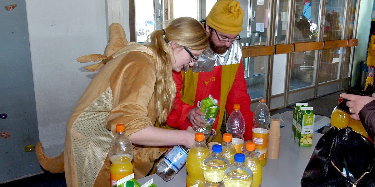 Rosenmontagszug 2015 Kostüme